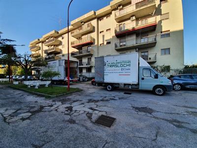 Foto - 8