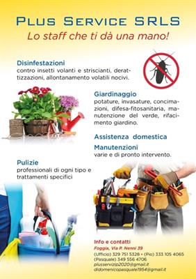 Pulizie e manutenzioni