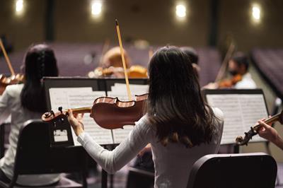 Violinista Alessandria