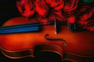 Violinista per matrimonio Settimo Torinese