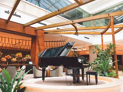 Pianista professionista a La Spezia