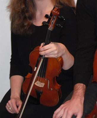 Violinista professionista