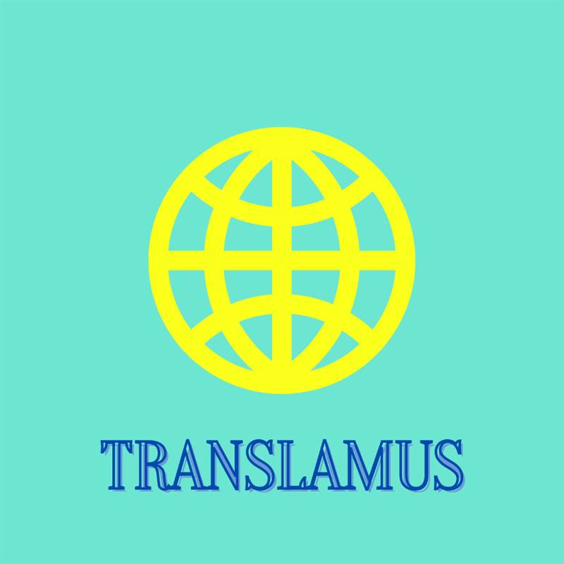 Traduzioni eseguite da professionisti della traduzione