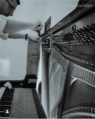 Accordatore Pianoforti Tecnico Riparazioni