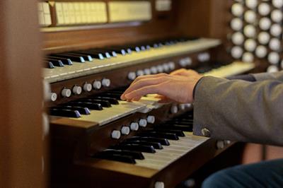 Organista Alessandria