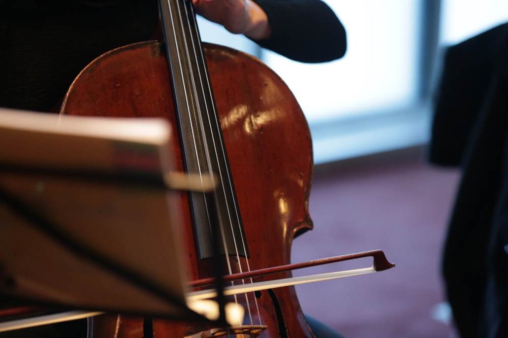 Pianista e violoncellista Bologna