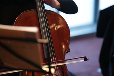 Pianista e violoncellista Bologna