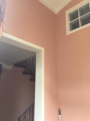 Foto - 11
