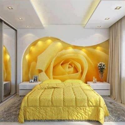 Pittore edile decoratore cartongessista