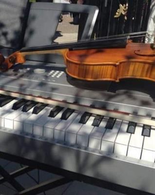 Soprano, organista e violinista a Crema