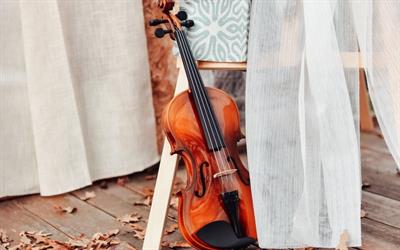 Musica per il matrimonio con organista a Brescia