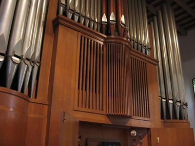 Organista, soprano e violinista a Valenza
