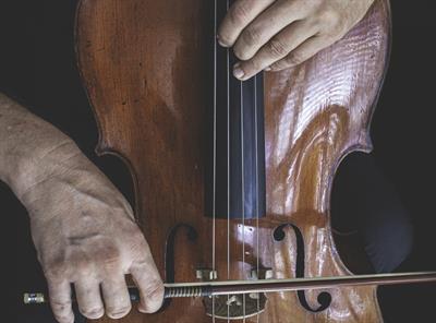Violoncellista Modena