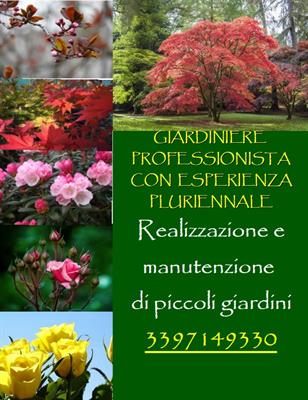 Giardiniere Professionista