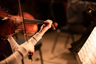 Violinista La Spezia