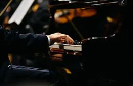 Organista professionista a Como