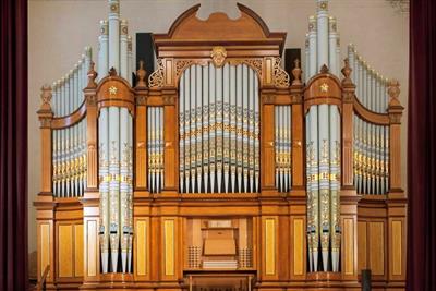Organista Correggio