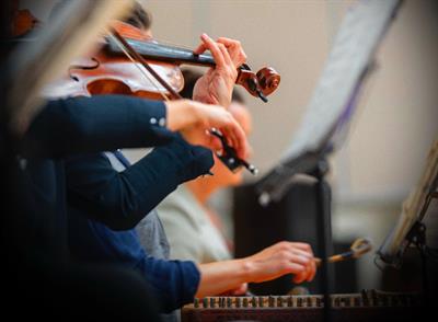 Violinista per matrimoni e funerali a Somma Lombardo