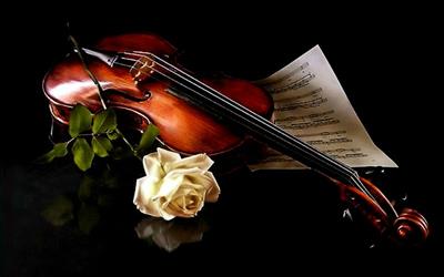 Violinista e organista Casale Monferrato