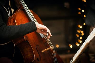 Violoncellista professionista a Como