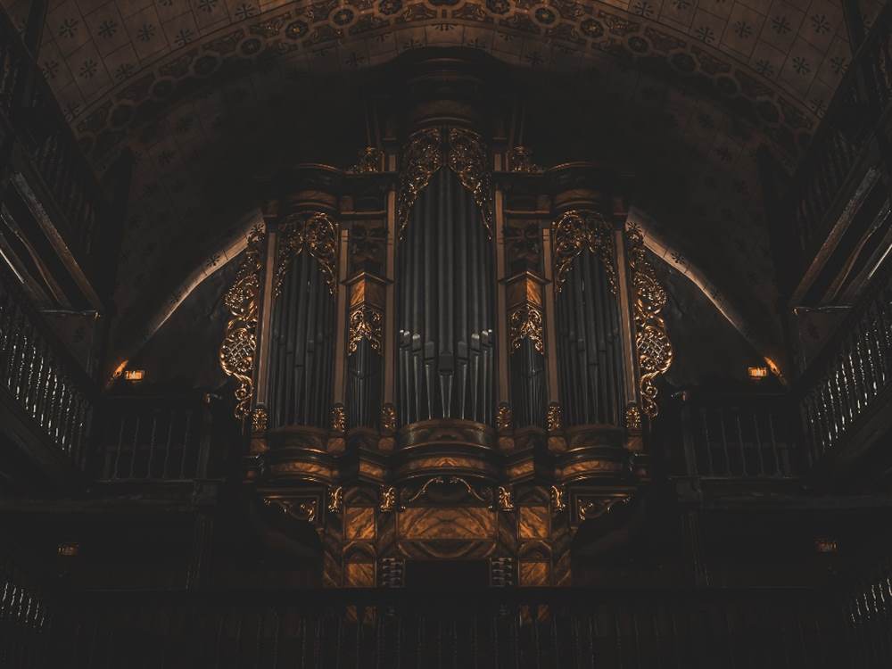 Organista professionista a Rovigo