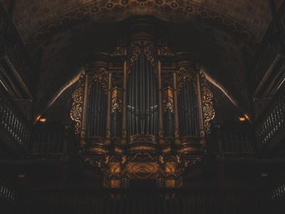 Organista professionista a Rovigo