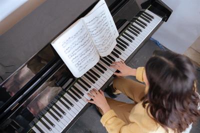 Organista e violinista Como