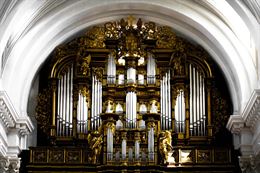 Organista Tortona