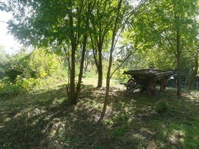 Associazione parco della fornace
