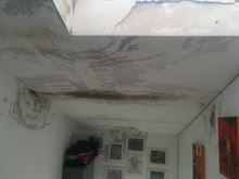 Foto - 12