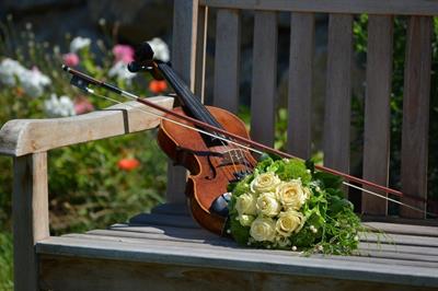 Violinista per matrimoni ed eventi a Saint Vincent