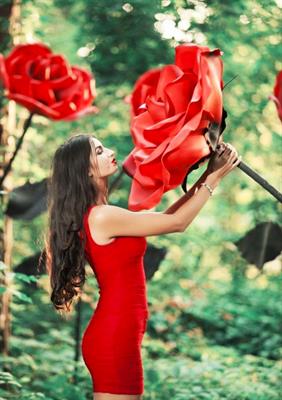 Noleggio fiori giganti, rose rosse giganti