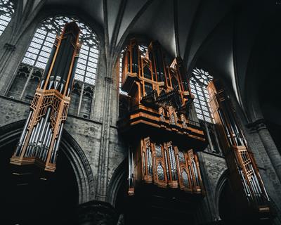 Organista Crema