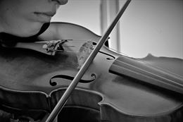 Musica cerimonia matrimonio Colorno