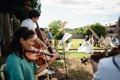 Quartetto d'archi per matrimoni e ceremoni