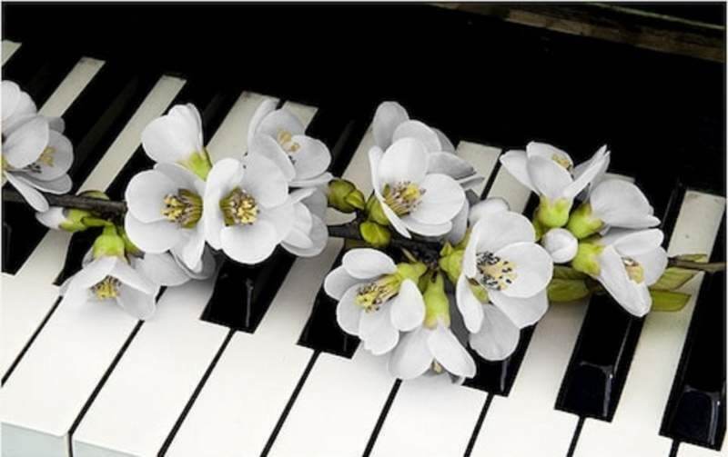 Pianista Aosta