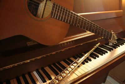 Musica cerimonia di matrimonio Voghera