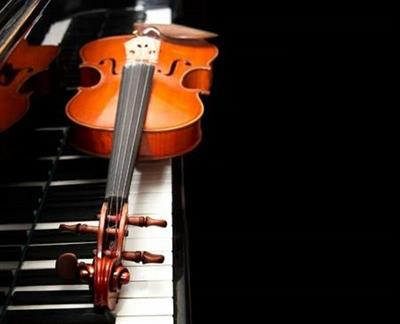 Violinista matrimonio Varese