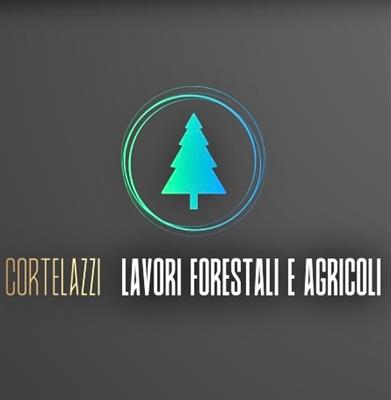 Abbattimento e pulizia boschi e campi