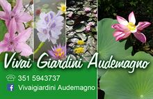 Giardiniere vivaista