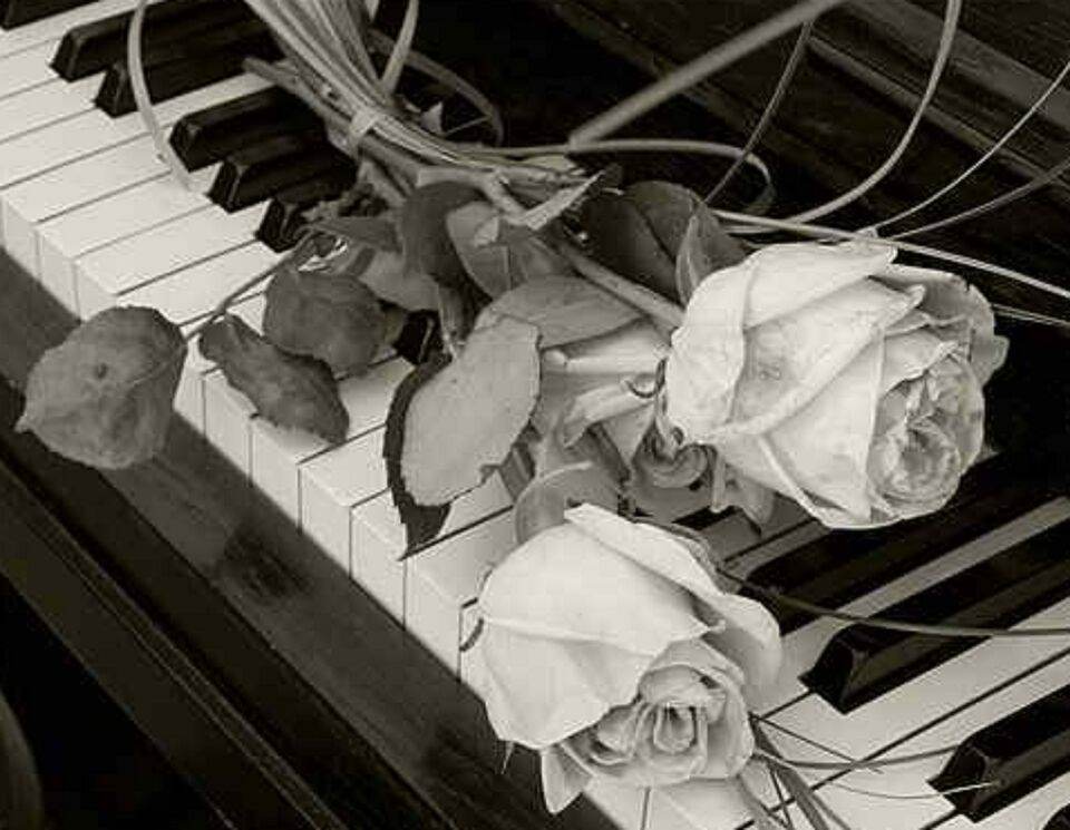 Organista funerale Busto Arsizio