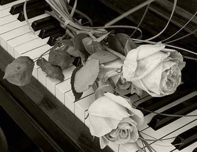 Organista funerale Busto Arsizio