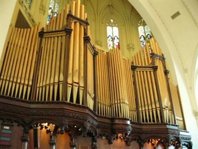 Organista