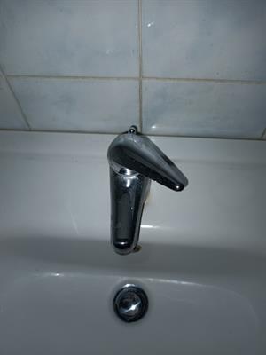 Foto - 11