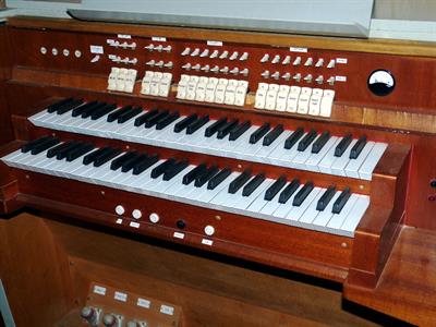 Organista professionista Savona