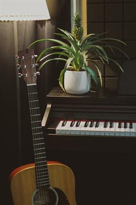 Organista Pinerolo