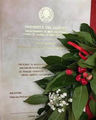 Stesura tesi di laurea triennali