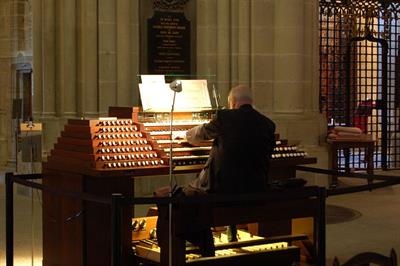 Organista Lodi